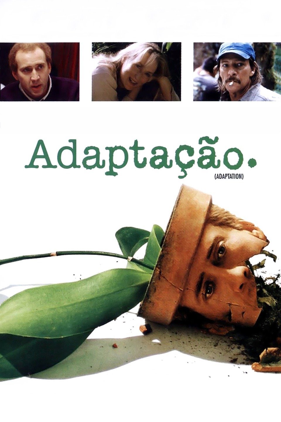 Adaptação