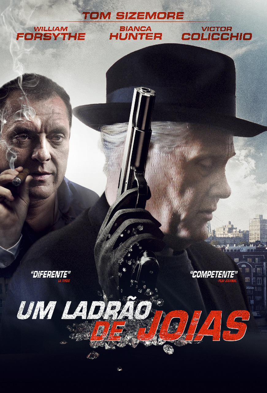 Um Ladrão de Jóias