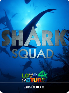 Shark Squad